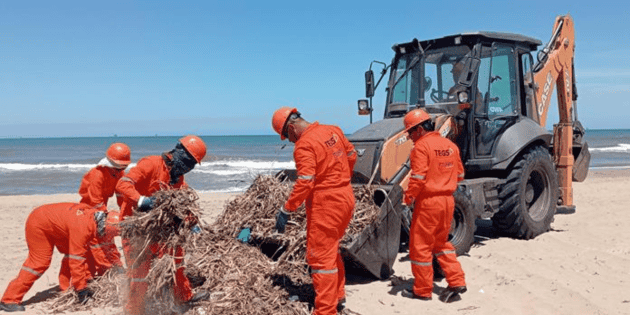 Golfo de M&eacute;xico: La situaci&oacute;n a 23 d&iacute;as del derrable de hidrocarburos