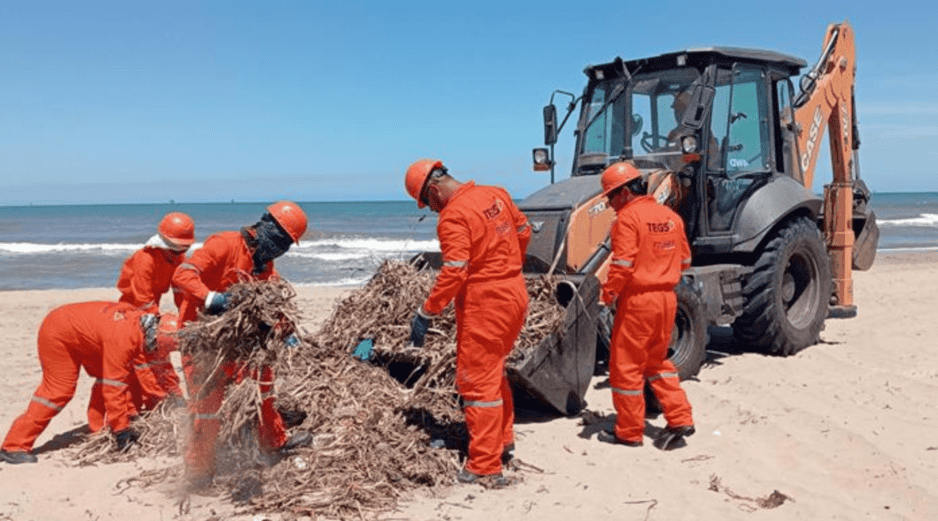 La gobernadora de Veracruz, Rocío Nahle, rechazó inicialmente la existencia del derrame y posteriormente atribuyó la presencia de hidrocarburos a una “chapopotera natural”. EFE/ARCHIVO