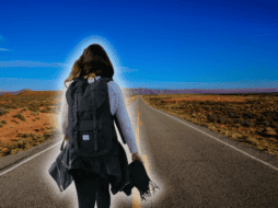 De acuerdo con la Red Nacional de Caminos, en 2025, la extensión de las carreteras en México alcanzó los 178 mil 609 km de vías pavimentadas. ESPECIAL/Canva/Unsplash