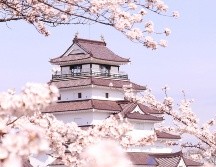 Temporada de cerezos en Japón: qué saber sobre la floración del sakura. CORTESÍA/ Organización Nacional de Turismo de Japón