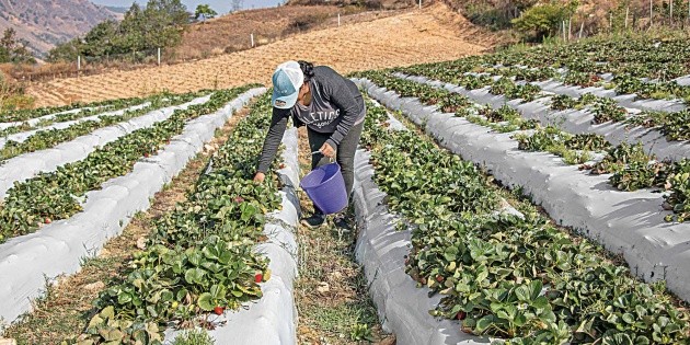 Guerra en Medio Oriente podr&iacute;a recrudecer la inflaci&oacute;n en M&eacute;xico: CNA