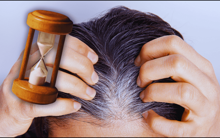 La mayoría de los especialistas aseguran que a partir de los 30 años no debería ser extraño observar las primeras canas, aunque este tiempo puede anticiparse frente a otros factores, como el genético. ESPECIAL / CANVA