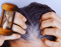 La mayoría de los especialistas aseguran que a partir de los 30 años no debería ser extraño observar las primeras canas, aunque este tiempo puede anticiparse frente a otros factores, como el genético. ESPECIAL / CANVA