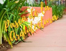 Este es un museo que se puede recorrer a pie de calle; conoce el Paseo de la Arquitectura en Guadalajara. EL INFORMADOR / A. Navarro