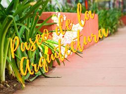 Este es un museo que se puede recorrer a pie de calle; conoce el Paseo de la Arquitectura en Guadalajara. EL INFORMADOR / A. Navarro