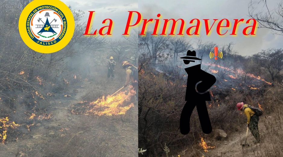 La conlcusión sobre si el incendio La Primavera fue accidental o incidental, tardará al menos una semana más. ESPECIAL / FACEBOOK Protección Civil Jalisco