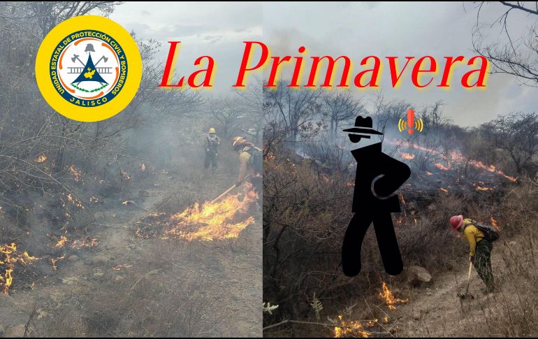 La conlcusión sobre si el incendio La Primavera fue accidental o incidental, tardará al menos una semana más. ESPECIAL / FACEBOOK Protección Civil Jalisco