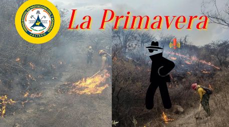La conlcusión sobre si el incendio en La Primavera fue accidental o incidental, tardará al menos una semana más. ESPECIAL / FACEBOOK Protección Civil Jalisco