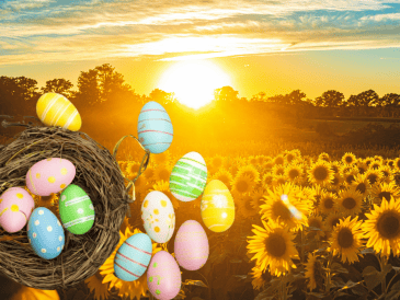 La experiencia en el Rancho San Juan Diego se divide en boletos para adultos y niños. ESPECIAL/ Unsplash