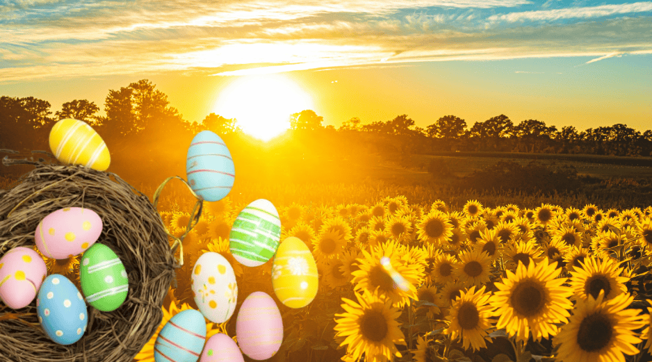 La experiencia en el Rancho San Juan Diego se divide en boletos para adultos y niños. ESPECIAL/ Unsplash