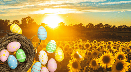 La experiencia en el Rancho San Juan Diego se divide en boletos para adultos y niños. ESPECIAL/ Unsplash