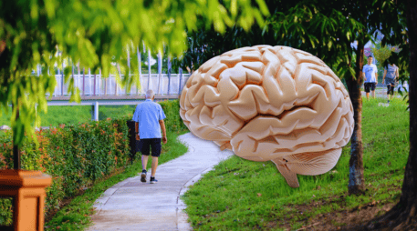 Para lograr beneficios positivos en la salud de nuestro cerebro, debemos caminar unos 30 minutos por día, tres veces cada semana. ESPECIAL / CANVA