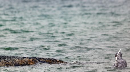 Expertos del ITAW están implicados con las autoridades en las operaciones de rescate. EFE/S. Sudheimer