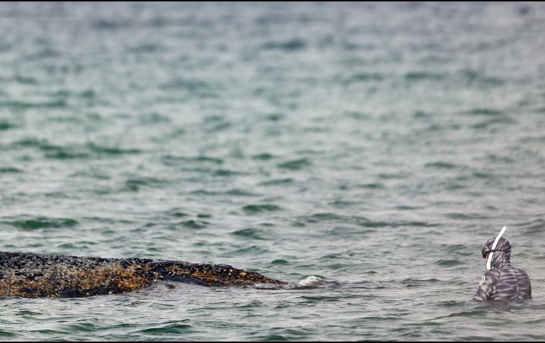 Expertos del ITAW están implicados con las autoridades en las operaciones de rescate. EFE/S. Sudheimer