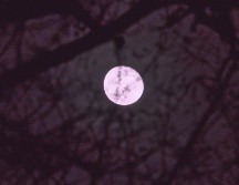 El término proviene de antiguas tradiciones de pueblos originarios de América del Norte. ESPECIAL