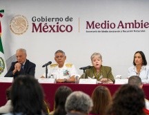 La Secretaria de Medio Ambiente y Recursos Naturales, Alicia Bárcena (2-d), el secretario de Marina, Raymundo Pedro Morales (2-i), el director de Pemex, Víctor Rodríguez (i) y la Secretaria de Energía, Luz Elena González (d), hablan durante una rueda de prensa este jueves. EFE/Medio Ambiente y Recursos Naturales