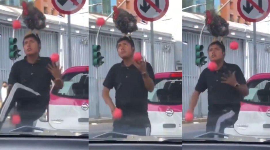 La escena de un joven haciendo malabares con un gallo sobre su cabeza se volvió tendencia. CAPTURA DE PANTALLA/X/@MarthaIBerraA/ESPECIAL