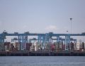 Los registros del Banco de México muestran que el hidrocarburo nacional acumula un repunte de 86.5%.  SUN/ARCHIVO