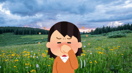 El principal lugar donde se presentan los síntomas de las aalergias estacionales es en la membrana que recubre internamente la nariz. UNSPLASH / J. HOLLAND