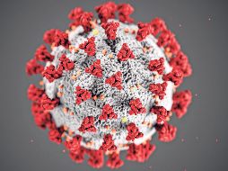 Hasta noviembre de 2025, la BA.3.2 se había detectado en siete países. ESPECIAL