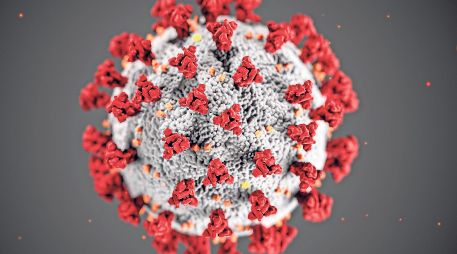 Hasta noviembre de 2025, la BA.3.2 se había detectado en siete países. ESPECIAL