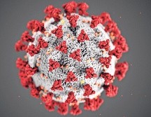 Hasta noviembre de 2025, la BA.3.2 se había detectado en siete países. ESPECIAL