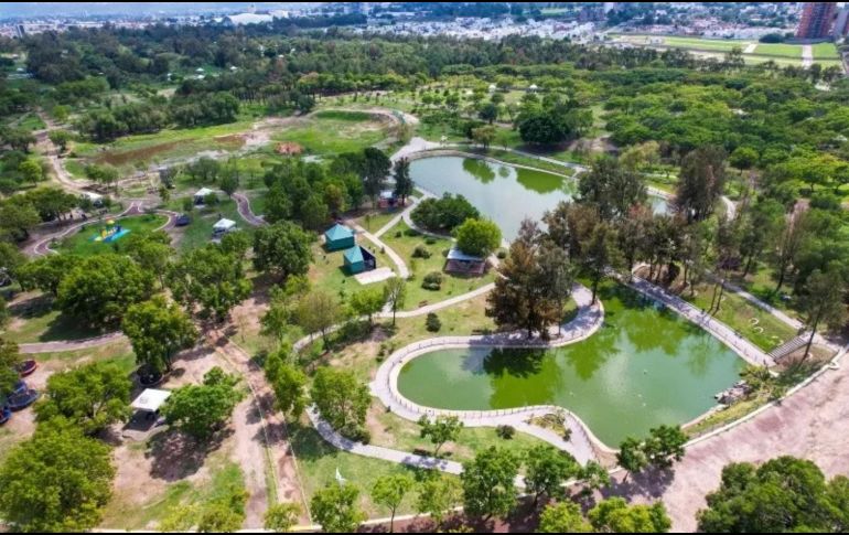 Si buscas un lugar amplio donde los niños y tus mascotas puedan correr libremente hasta cansarse, el Parque Metropolitano es indiscutiblemente la mejor opción. EL INFORMADOR / ARCHIVO