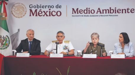 El grupo integrado por Pemex, Semar, Semarnat, Sener, ASEA y Profepa, así como autoridades estatales y municipales, detalló que hasta el día de hoy se han recolectado más de 700 toneladas de contaminante. SUN/ F. ROJAS.