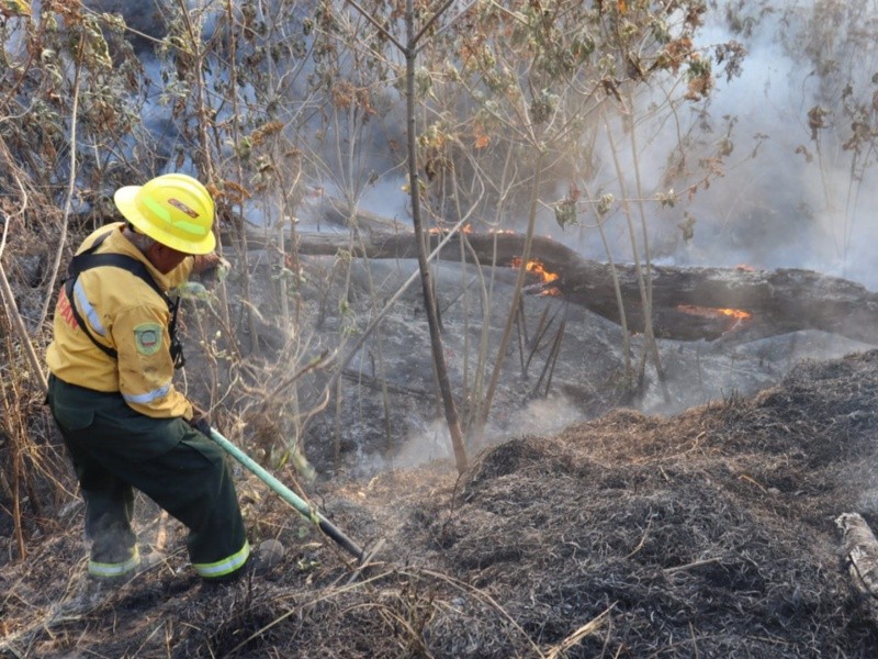 CORTESÍA/PROTECCIÓN CIVIL Y BOMBEROS DE ZAPOPAN &nbsp;