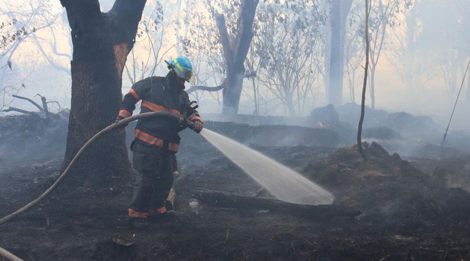 El siniestro afectó alrededor de tres hectáreas dentro de un Área Natural Protegida. CORTESÍA/PROTECCIÓN CIVIL Y BOMBEROS DE ZAPOPAN  
