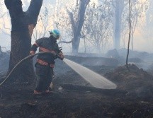 El siniestro afectó alrededor de tres hectáreas dentro de un Área Natural Protegida. CORTESÍA/PROTECCIÓN CIVIL Y BOMBEROS DE ZAPOPAN  