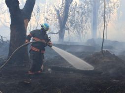 El siniestro afectó alrededor de tres hectáreas dentro de un Área Natural Protegida. CORTESÍA/PROTECCIÓN CIVIL Y BOMBEROS DE ZAPOPAN  