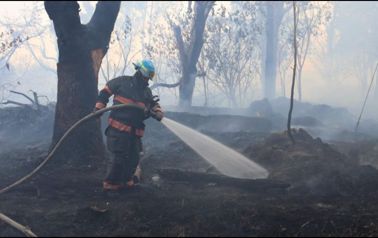 El siniestro afectó alrededor de tres hectáreas dentro de un Área Natural Protegida. CORTESÍA/PROTECCIÓN CIVIL Y BOMBEROS DE ZAPOPAN  