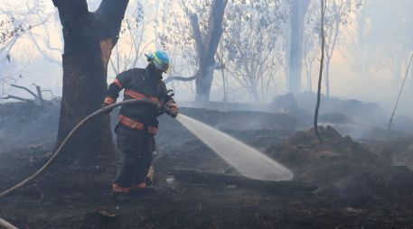 El siniestro afectó alrededor de tres hectáreas dentro de un Área Natural Protegida. CORTESÍA/PROTECCIÓN CIVIL Y BOMBEROS DE ZAPOPAN  