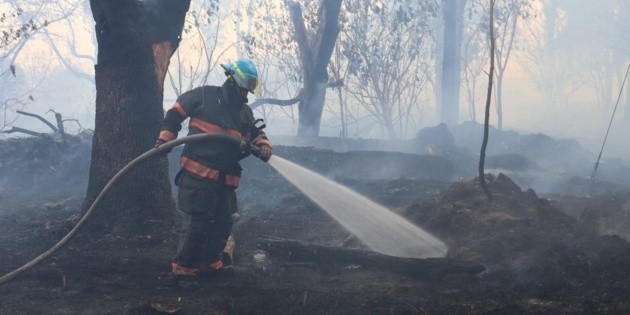 Sofocan incendio forestal en el Bosque El Centinela