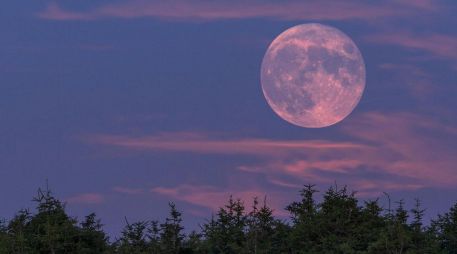 Observar la Luna Rosa permite conectar con los ciclos naturales y el cambio de estación. PEXELS