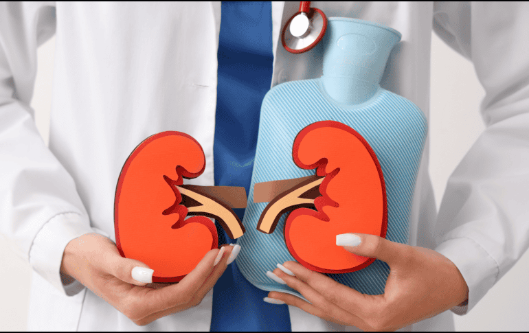 Adoptar estas prácticas puede ayudar a reducir el impacto de factores de riesgo y a mantener los riñones en buen estado a largo plazo, especialmente ante el uso frecuente de medicamentos como el ibuprofeno. CANVA