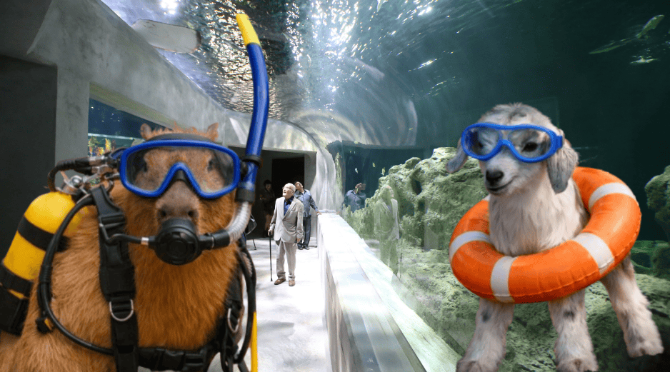 La ubicación del Acuario Michin Guadalajara es: Calle Mariano Bárcena 990, Zona Centro, 44260. ESPECIAL/ EL INFORMADOR/ ARCHIVO/ Unsplash