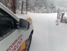 El acceso al parque es limitado y puede ser restringido en cualquier momento como medida preventiva, dependiendo de cómo evolucionen las condiciones climáticas. X / @PCJalisco