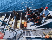 Con el aseguramiento en Michoacán, se estima una afectación económica a la delincuencia organizada de aproximadamente 150 millones de pesos mexicanos. ESPECIAL/SUN