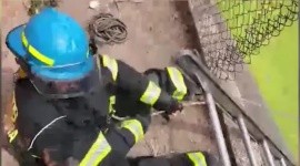 Perro rescatado por Bomberos de Guadalajara en canal de colonia Nueva Patria. ESPECIAL / FACEBOOK Protección Civil y Bomberos GDL