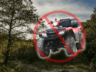 La multa por circular con estos vehículos en estas zonas puede superar los 20 mil pesos. ESPECIAL/Gobierno de Jalisco/Unsplash