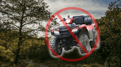 La multa por circular con estos vehículos en estas zonas puede superar los 20 mil pesos. ESPECIAL/Gobierno de Jalisco/Unsplash