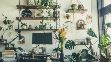 La transpiración de las plantas puede ayudar a equilibrar el microclima de una habitación. UNSPLASH / I. MANI