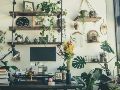 La transpiración de las plantas puede ayudar a equilibrar el microclima de una habitación. UNSPLASH / I. MANI