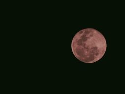 El  evento lunar marcará el inicio de una nueva etapa en la primavera. PEXELS