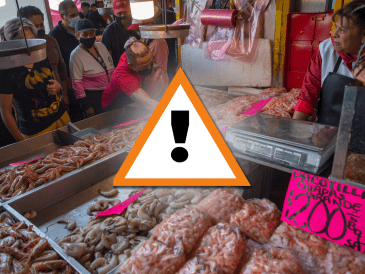 Oceana observó además que algunos de los peces más sustituidos coinciden con los de mayor consumo en México. EFE/I. Esquivel/ESPECIAL