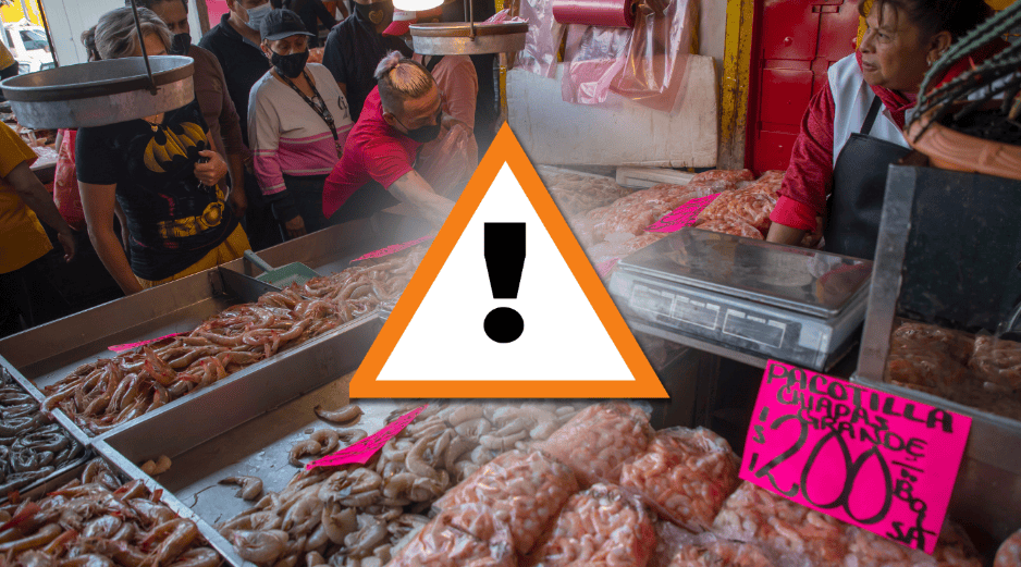 Oceana observó además que algunos de los peces más sustituidos coinciden con los de mayor consumo en México. EFE/I. Esquivel/ESPECIAL