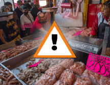 Oceana observó además que algunos de los peces más sustituidos coinciden con los de mayor consumo en México. EFE/I. Esquivel/ESPECIAL