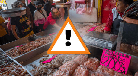 Oceana observó además que algunos de los peces más sustituidos coinciden con los de mayor consumo en México. EFE/I. Esquivel/ESPECIAL